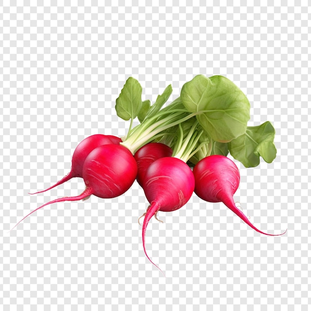 Free PSD radishes isolated on transparent background