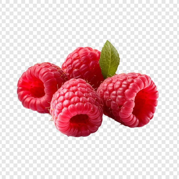 Free PSD raspberries isolated on transparent background