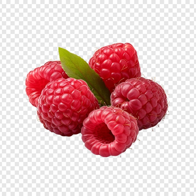 Free PSD raspberries isolated on transparent background