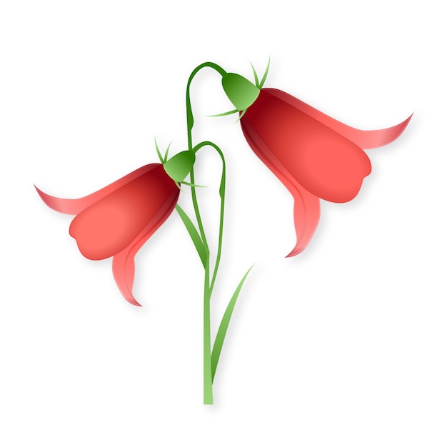 Free PSD realistic flower element isolated