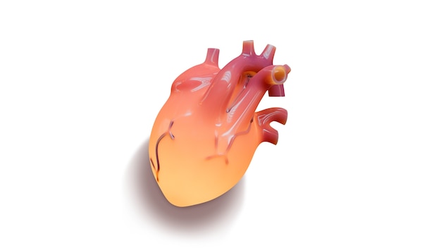 Free PSD realistic heart shape isolated