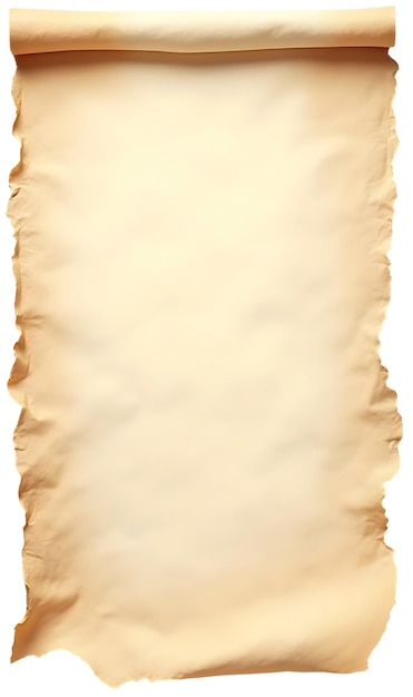 Free PSD realistic rolled parchment paper isolated