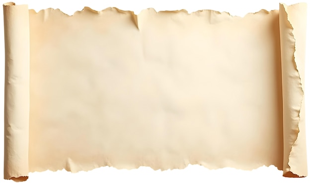 Free PSD realistic rolled parchment paper isolated