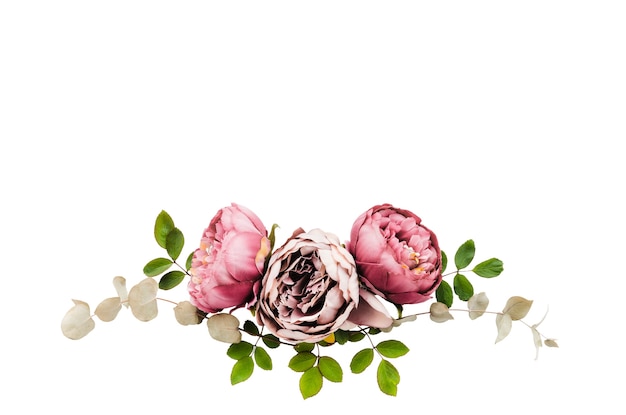 Free PSD rose flower elements isolated