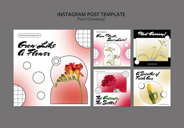 Free PSD social media giveaway template design