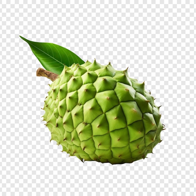 Free PSD soursop fruit isolated on transparent background