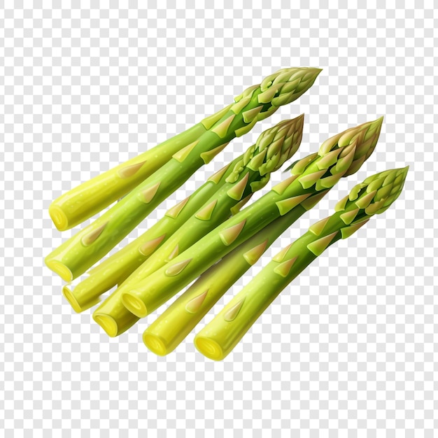 Free PSD spargel asparagus isolated on transparent background