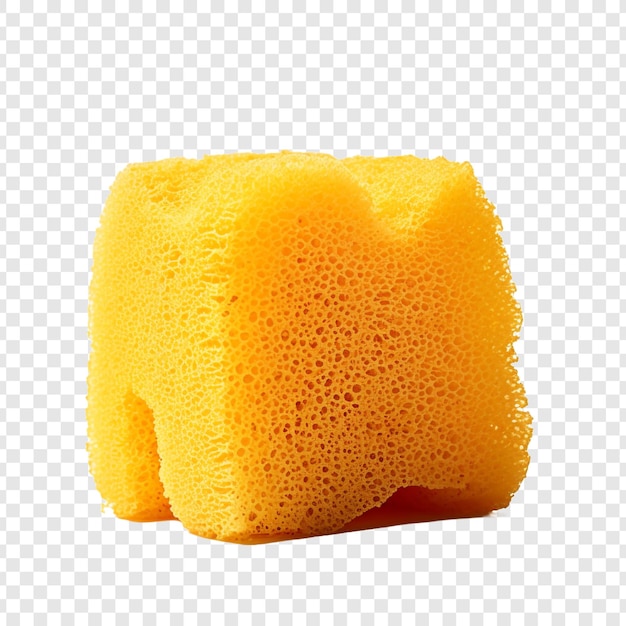 Free PSD sponge isolated on transparent background