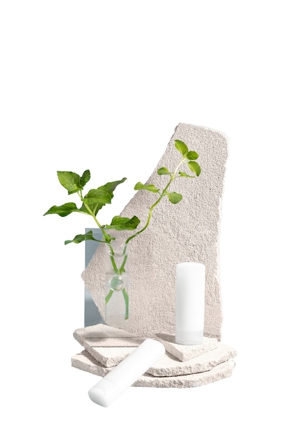 Free PSD still life of herbalist arrangement