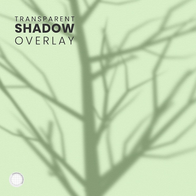 Free PSD transparent plant leaf shadow overlay template