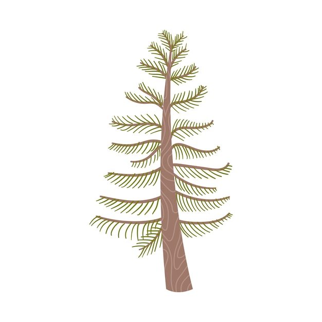 Free PSD trees illustration isolated