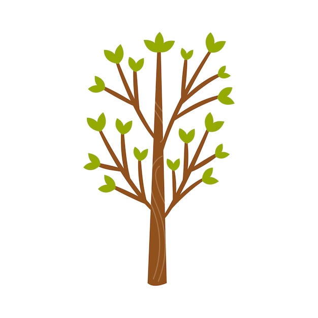 Free PSD trees illustration isolated