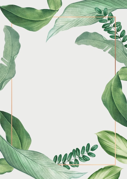 Free PSD tropical leaves frame