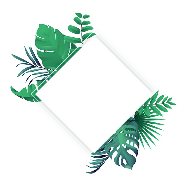 Free PSD tropical palm tree leaves isolated