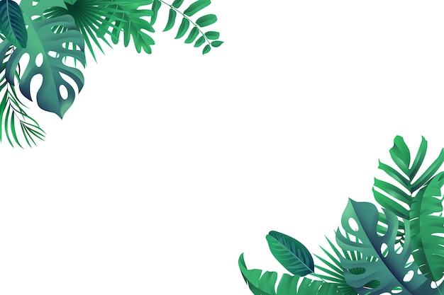 Free PSD tropical palm tree leaves isolated