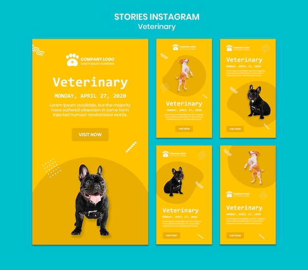 Free PSD veterinary instagram stories