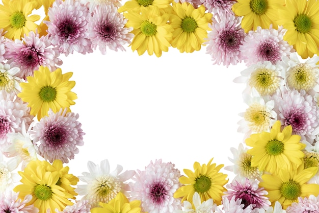 Free PSD view of beautiful flowers in bloom