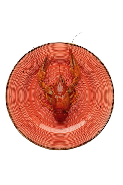 Free PSD view of cooked crawfish on plate