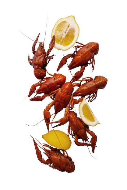 Free PSD view of cooked crawfish