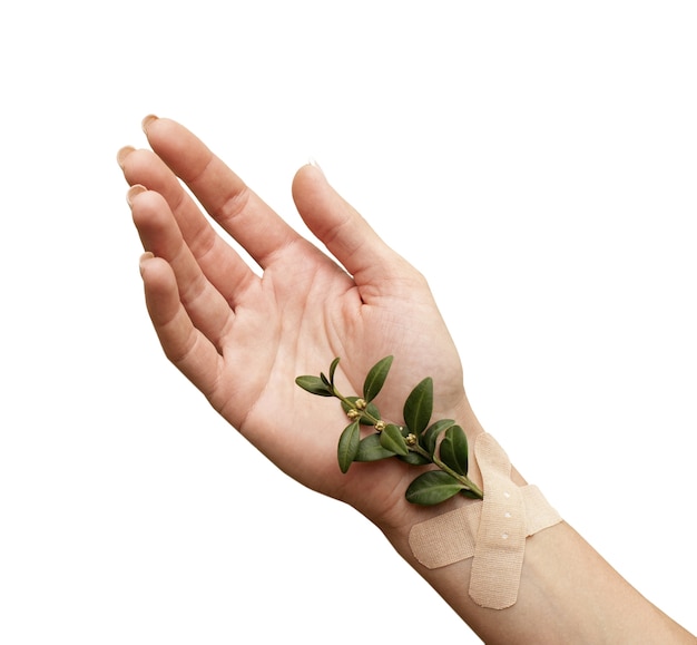 View of sustainable hands with nature