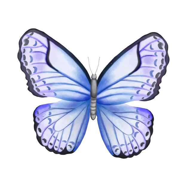 Free PSD watercolor butterfly  illustration