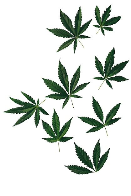 Free PSD weed leaves pattern