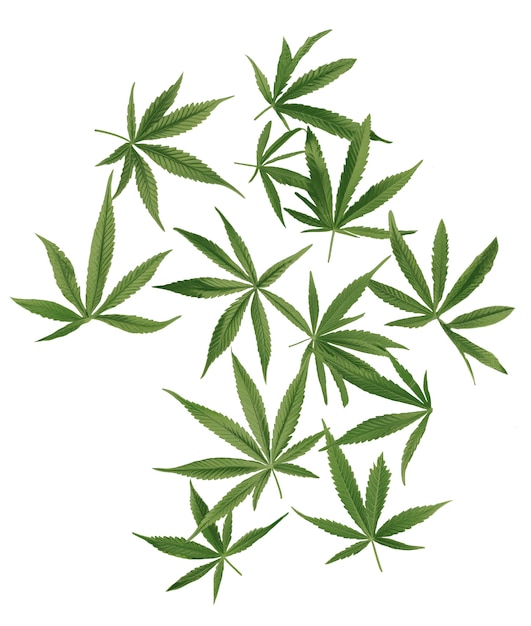 Free PSD weed leaves pattern