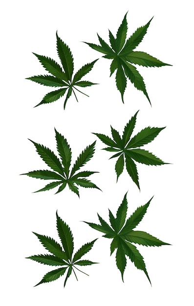 Free PSD weed leaves pattern