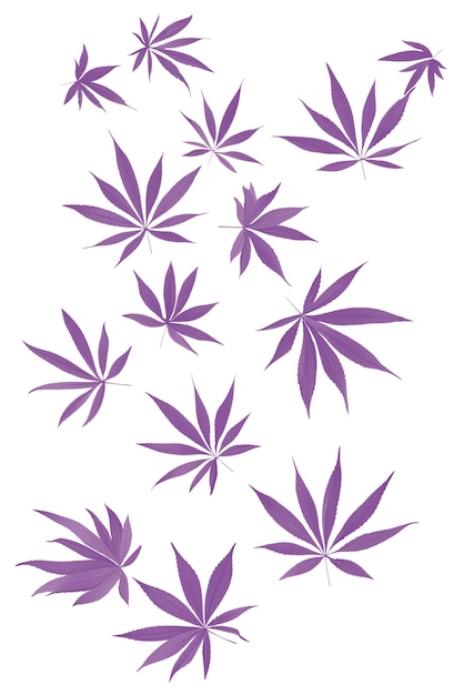 Weed leaves pattern