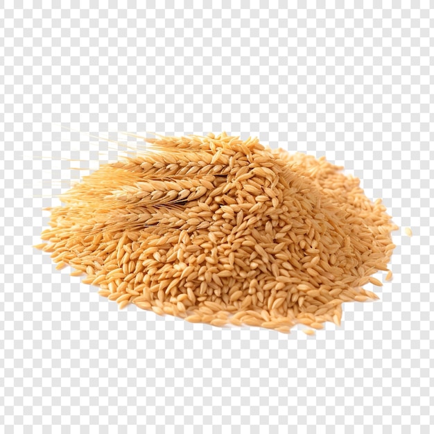 Free PSD wheat isolated on transparent background