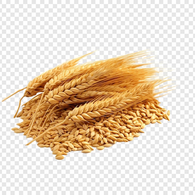 Free PSD wheat isolated on transparent background