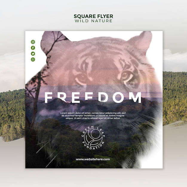 Free PSD wild nature beautiful portrait of tiger square flyer