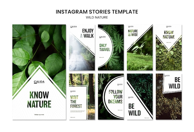 Free PSD wild nature square instagram stories template