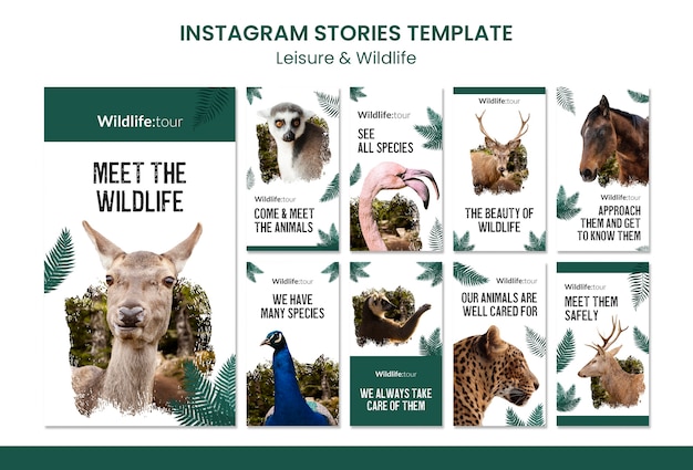 Free PSD wildlife instagram stories template