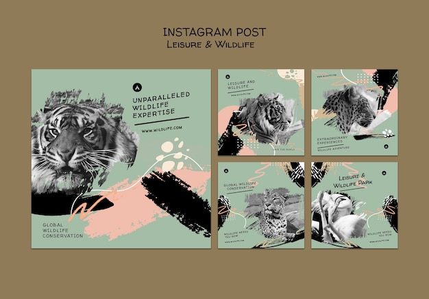 Free PSD wildlife preservation and protection instagram posts collection with abstract brush strokes