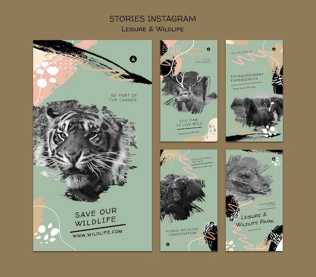 Free PSD wildlife preservation and protection instagram stories collection with abstract brush strokes