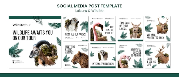 Free PSD wildlife tour social media posts