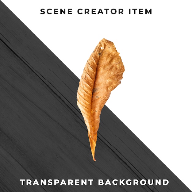 Wood leaf transparent PSD