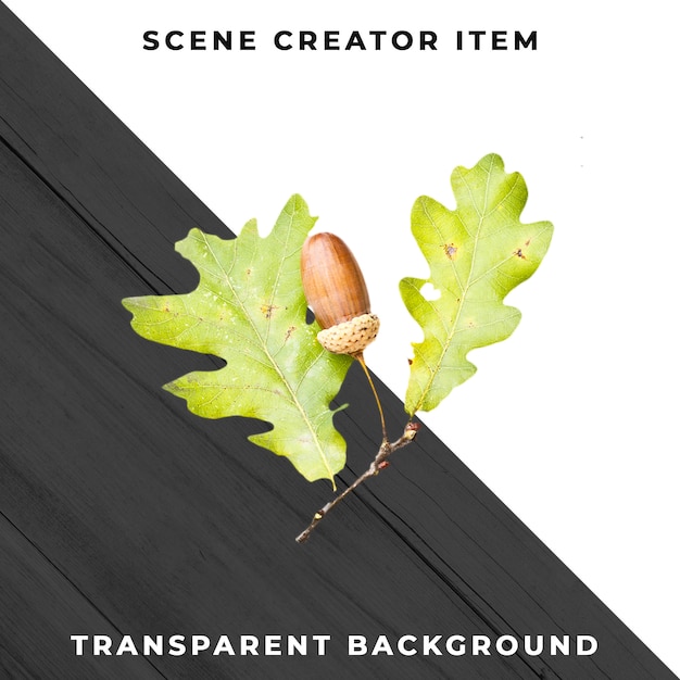 Free PSD wood leaf transparent psd