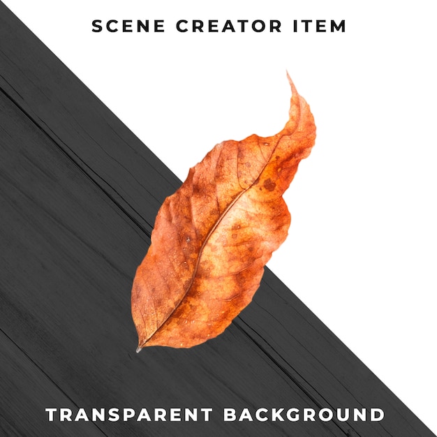 Wood leaf transparent PSD