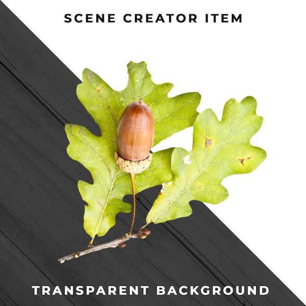 Wood leaf transparent psd