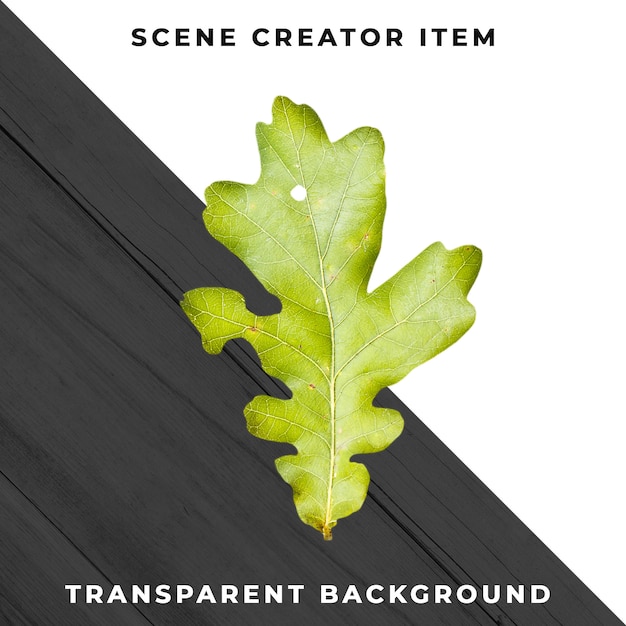 Wood leaf transparent PSD