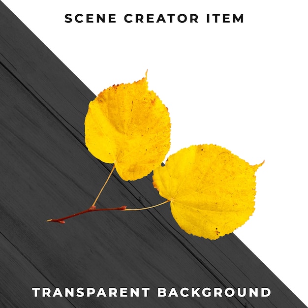 Free PSD wood leaf transparent psd