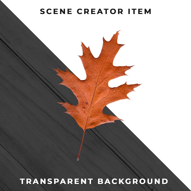 Free PSD wood leaf transparent psd