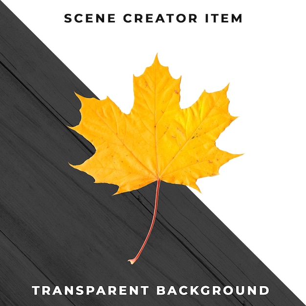 Wood leaf transparent PSD