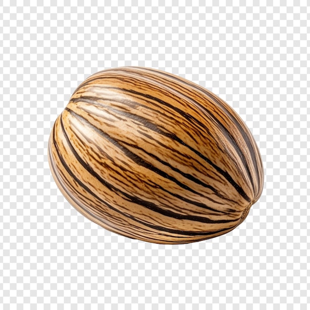 Free PSD zebrawood fruit isolated on transparent background