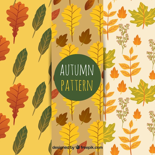 3 patterns with autumn leaves