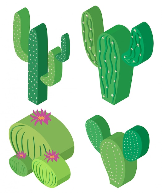 Free Vector 3d design for cactus plants