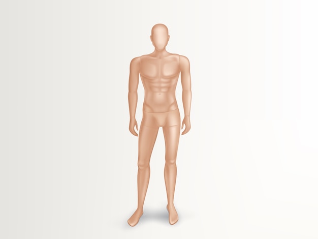 3d illustration of male mannequin, naked full body of man. 