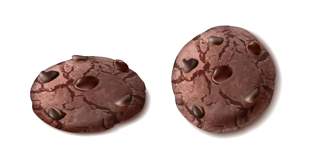 3d realistic vector icon Chcolate chip cookie in side and front view